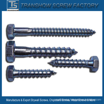 M6-M16 Hex Head Wood Screws